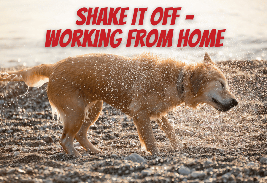 Shake It Off – Working from Home