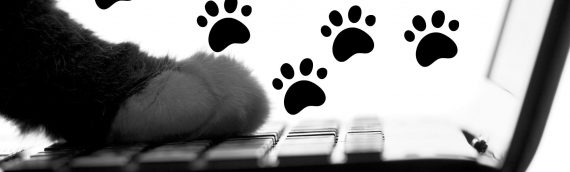 Paws Across Your Home Office